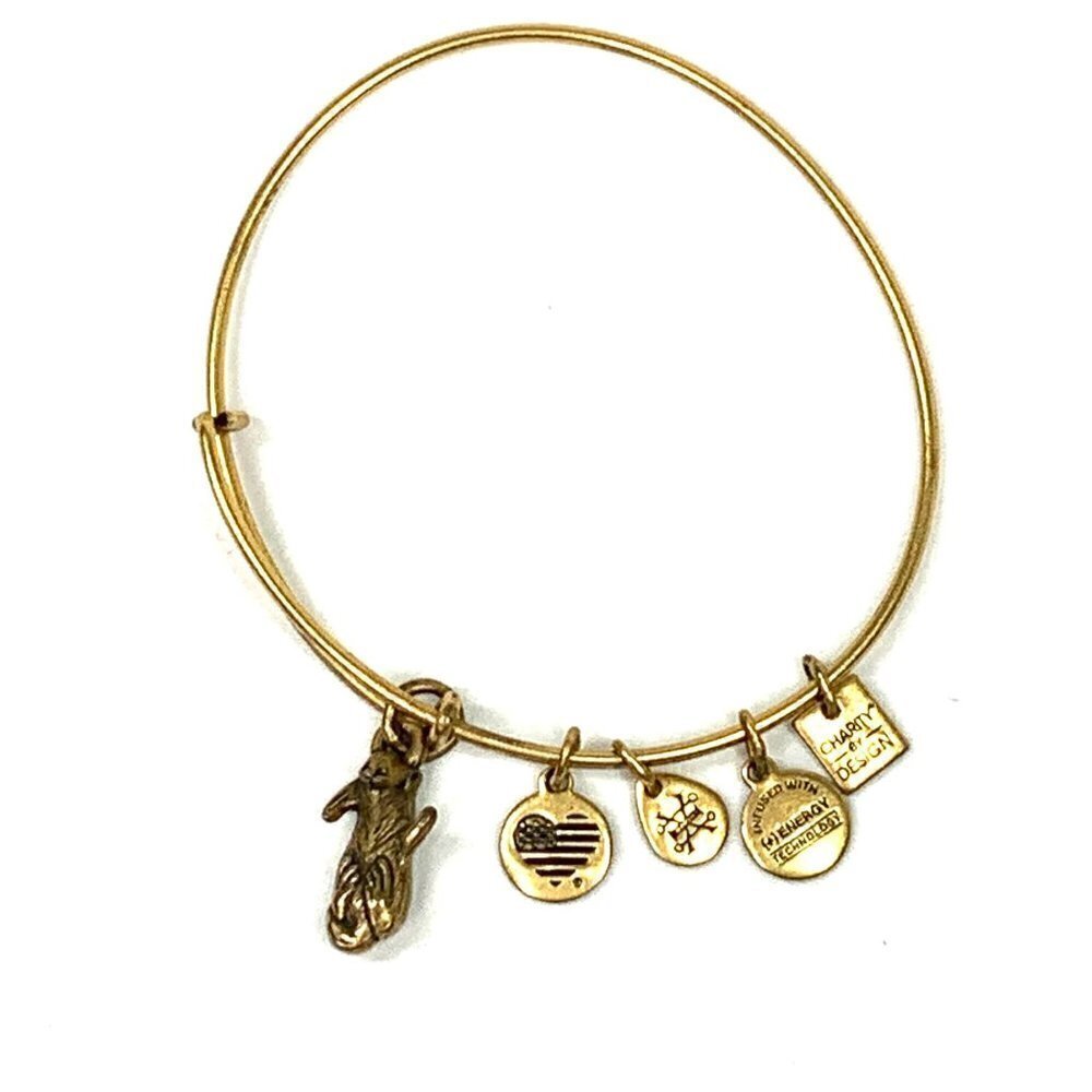Alex and Ani Otter Charm Bracelet Silver Gold - Expands 2"- 3.5"